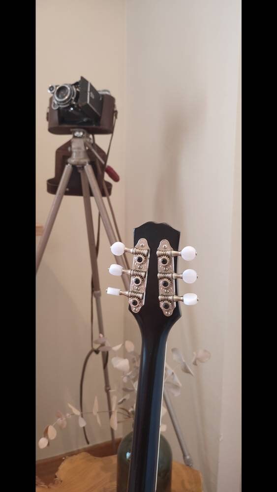 Custom 6-String Handmade Greek Bouzouki with Traditional Rebetiko Design and Abalone Shell Flower Top Decorations