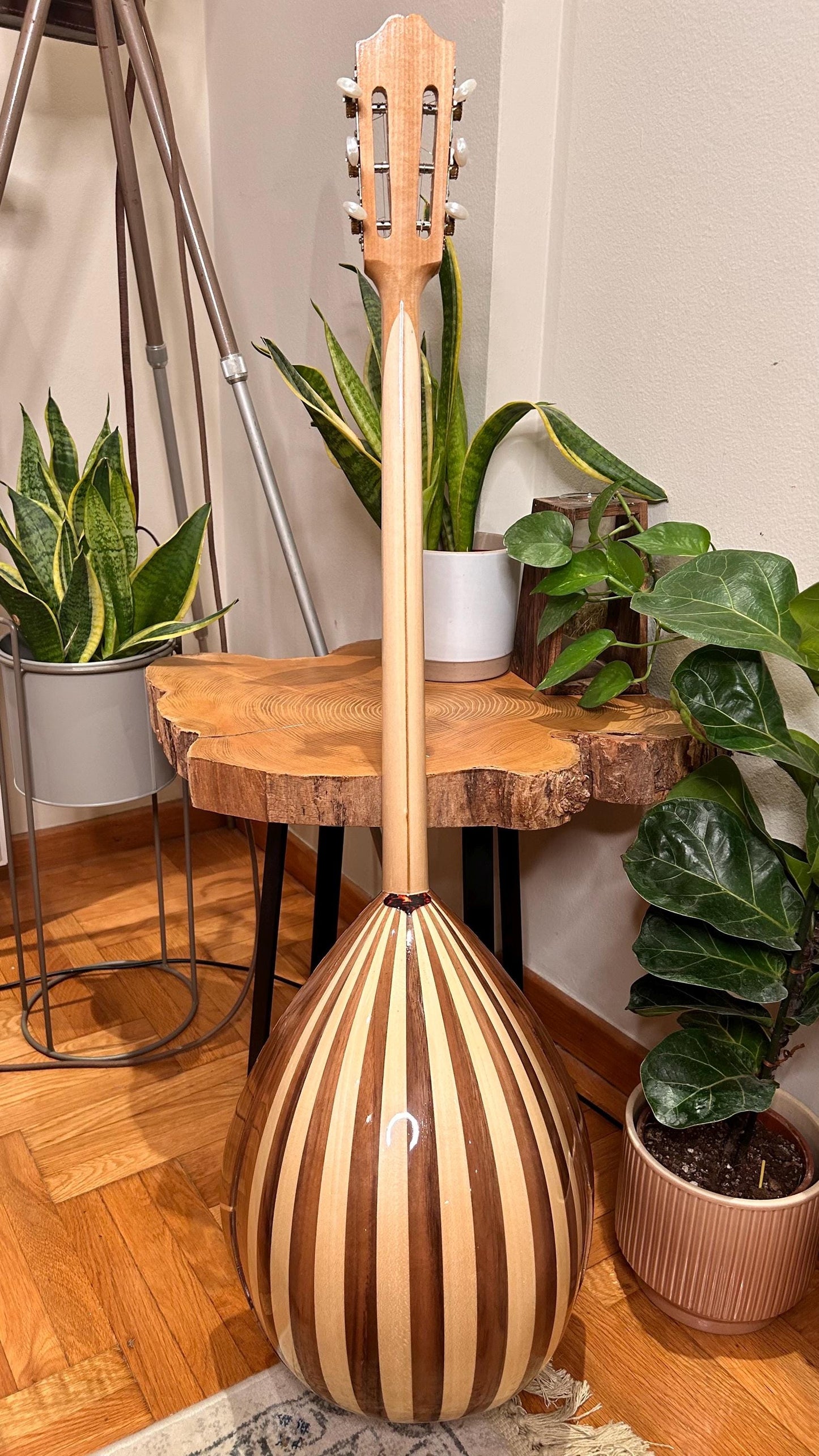 Professional Handmade 6-String Bouzouki with Greek Rebetiko Style - Black Pickguard Design and Abalone Shell Fretmarks