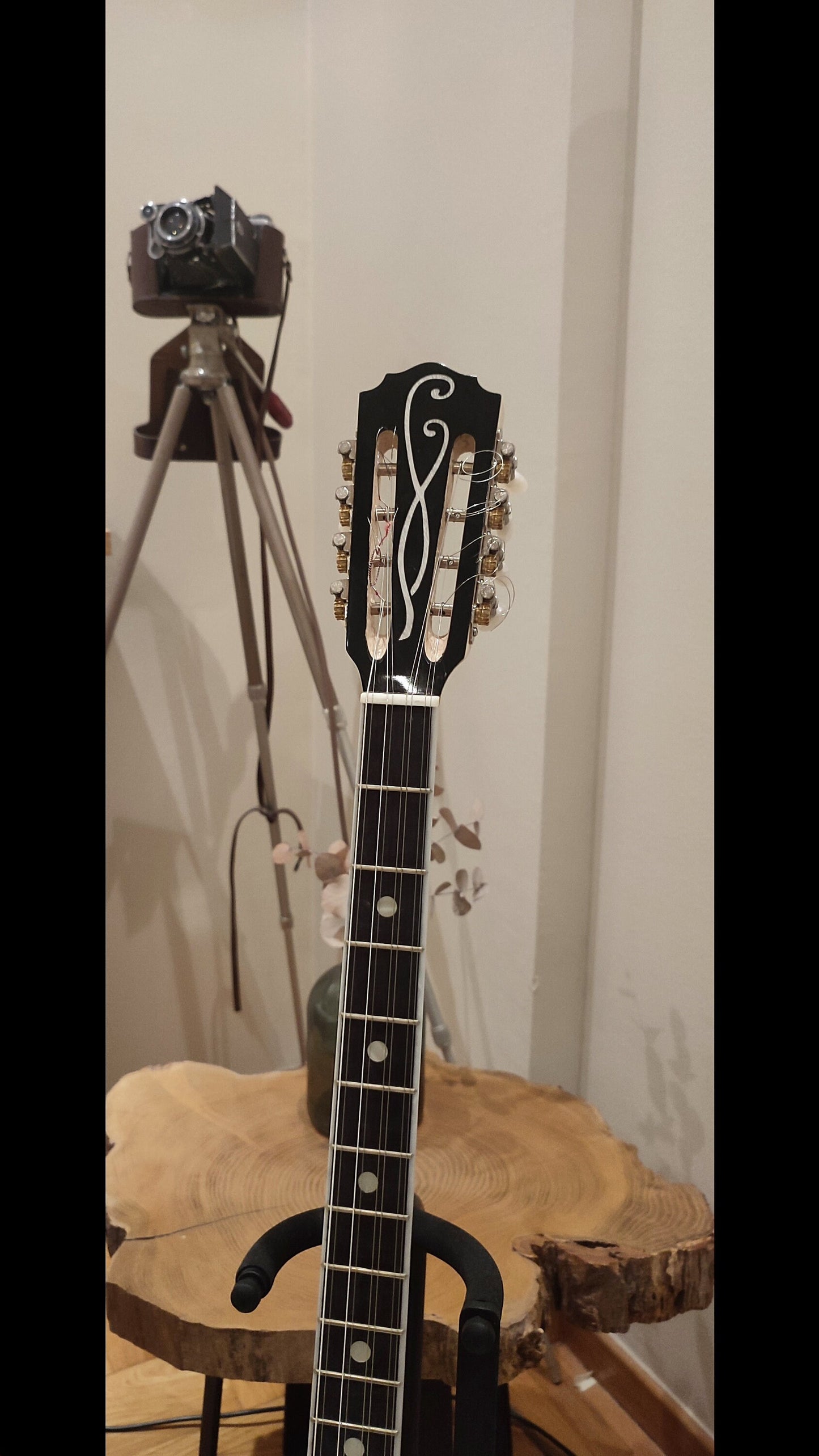 Premium Handmade 8-String Bouzouki with Double Action Truss-Rod and Cellulose Vines Top Decorations - Greek Popular Bouzouki