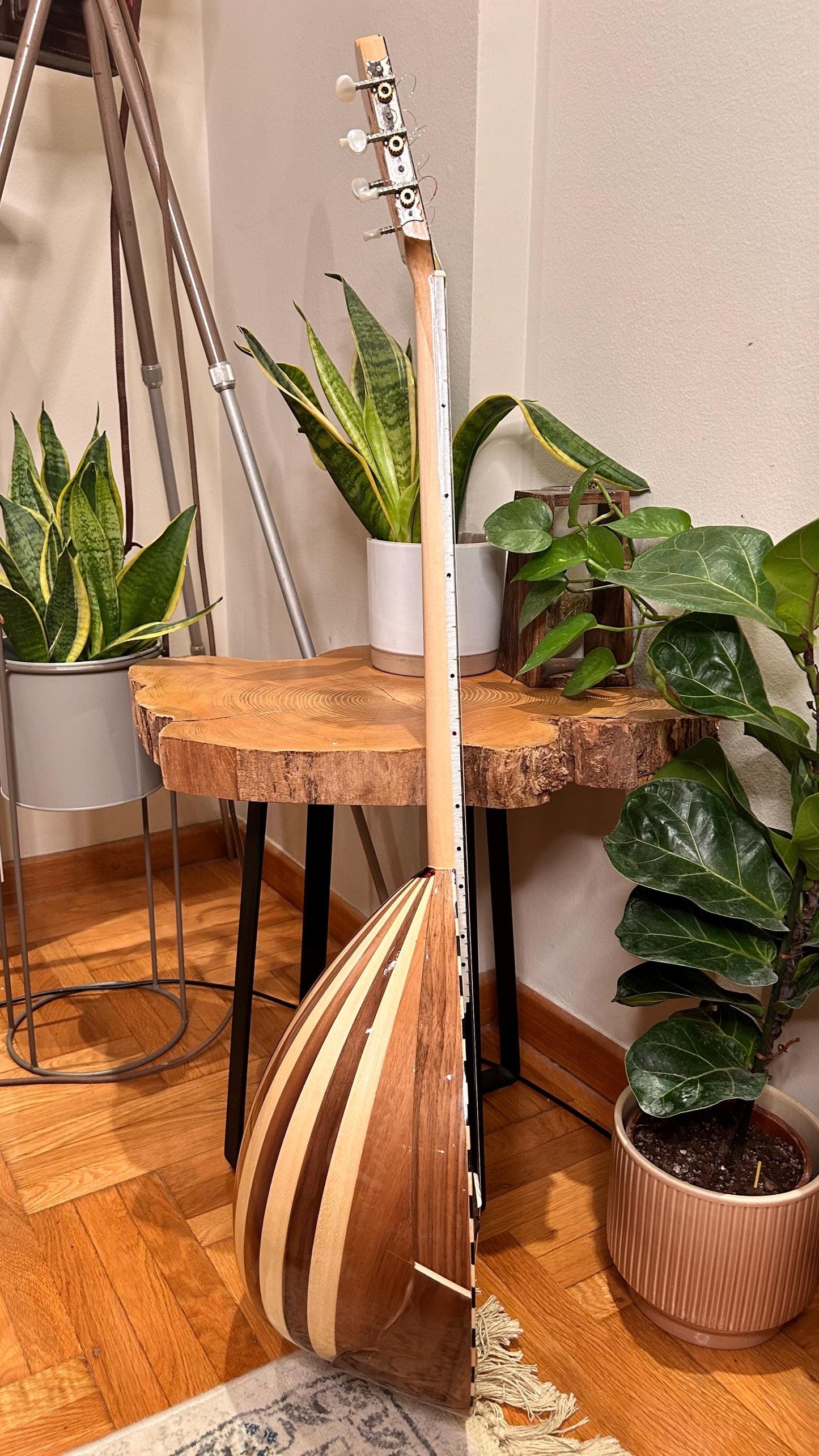 Professional Handmade 6-String Bouzouki with Greek Rebetiko Style - Black Pickguard Design and Abalone Shell Fretmarks