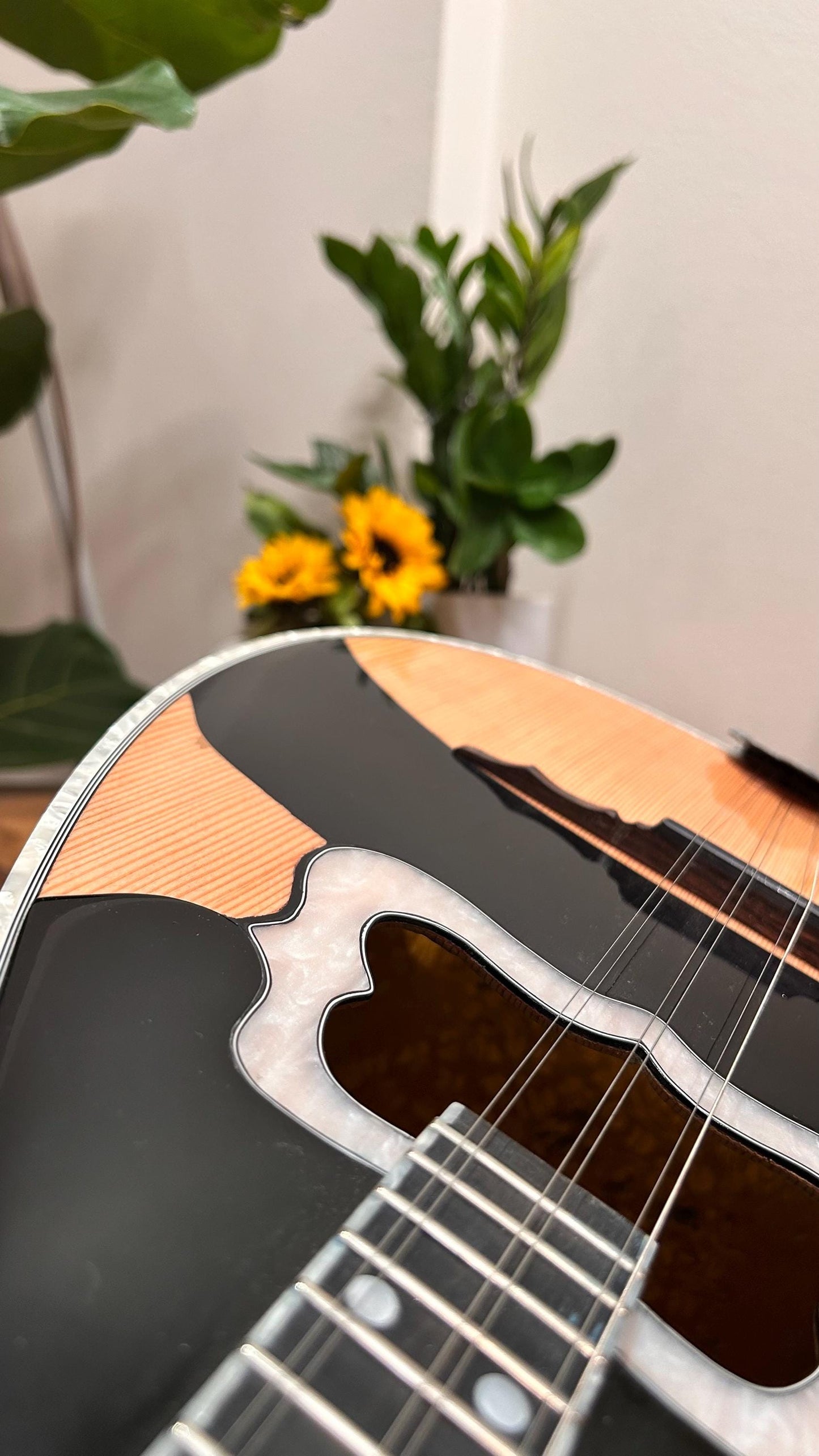 Professional Handmade 6-String Bouzouki with Greek Rebetiko Style - Black Pickguard Design and Abalone Shell Fretmarks