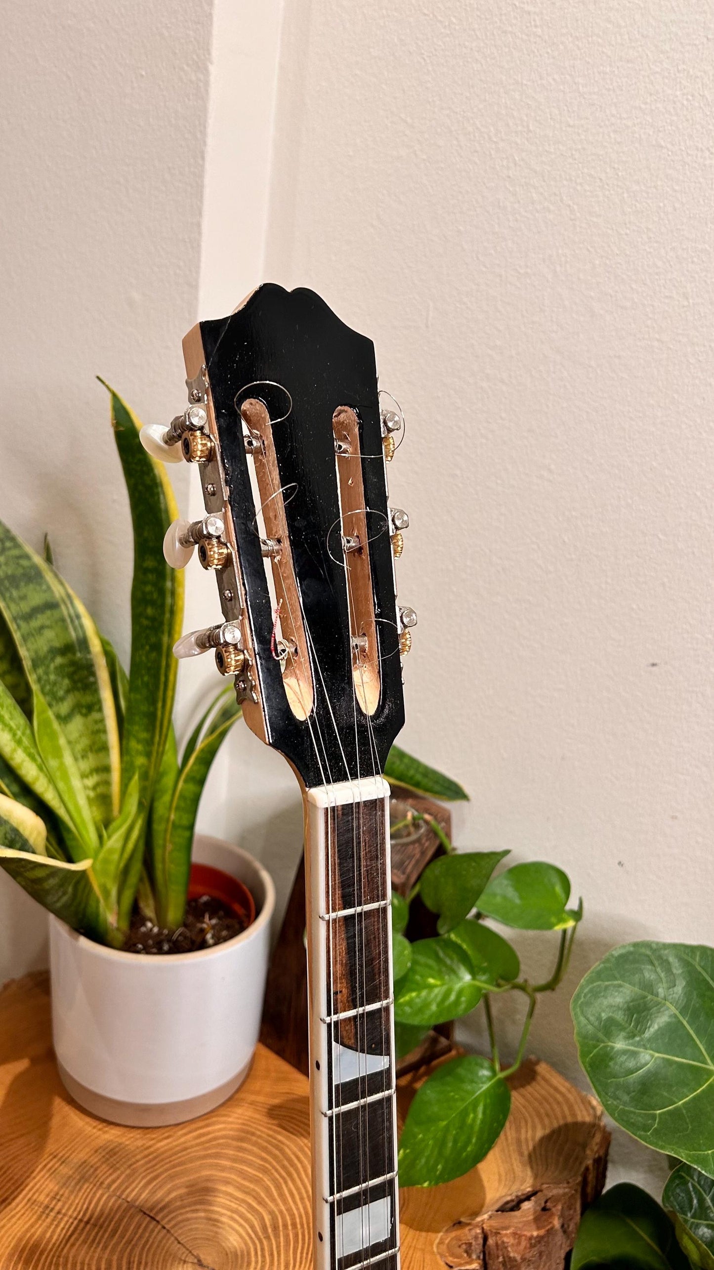 Professional Handmade 6-String Bouzouki with Greek Rebetiko Style - Black Pickguard Design and Abalone Shell Fretmarks