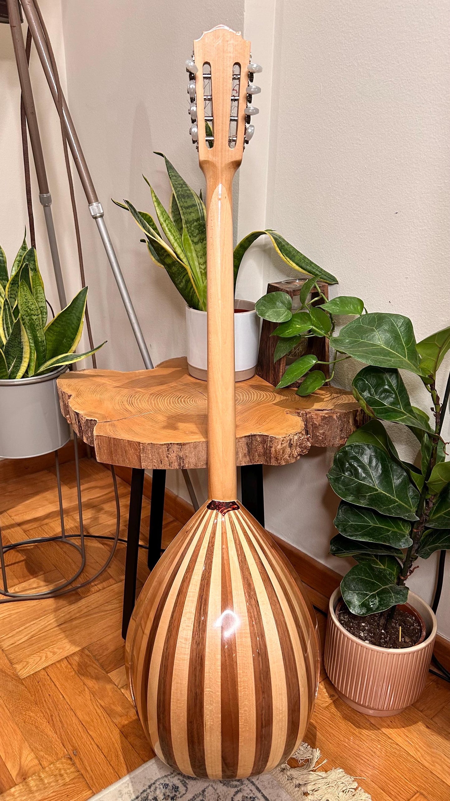 Premium Handmade 8-String Bouzouki with Double Action Truss-Rod and Cellulose Vines Top Decorations - Greek Popular Bouzouki