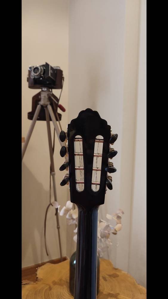 Custom Handmade Professional 8-String Bouzouki with Mermaid and Deep Sea Full Top Decorations