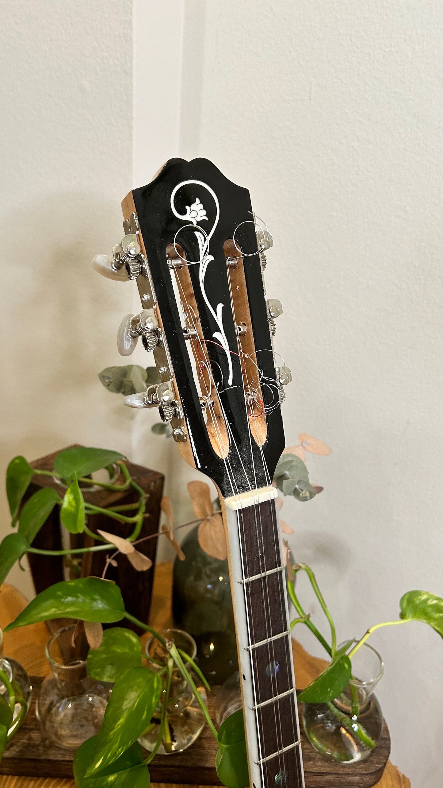 Handmade Greek Rebetiko 6-String Bouzouki - Flowers Celluloid Pickguard & Top Decorations