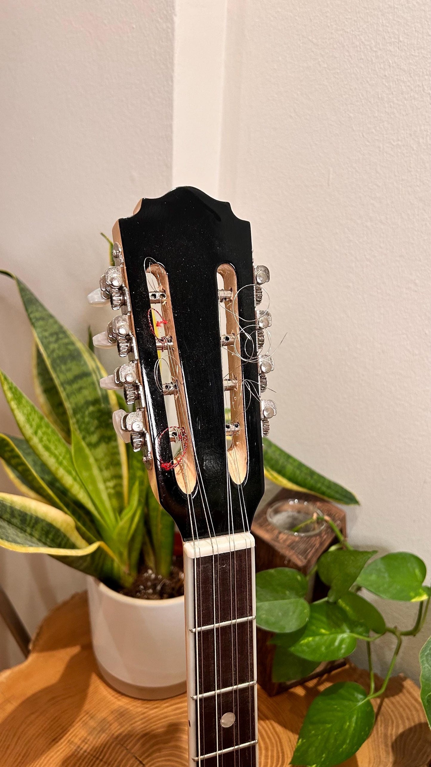 Premium Handmade 8-String Bouzouki with Double Action Truss-Rod and Cellulose Vines Top Decorations - Greek Popular Bouzouki