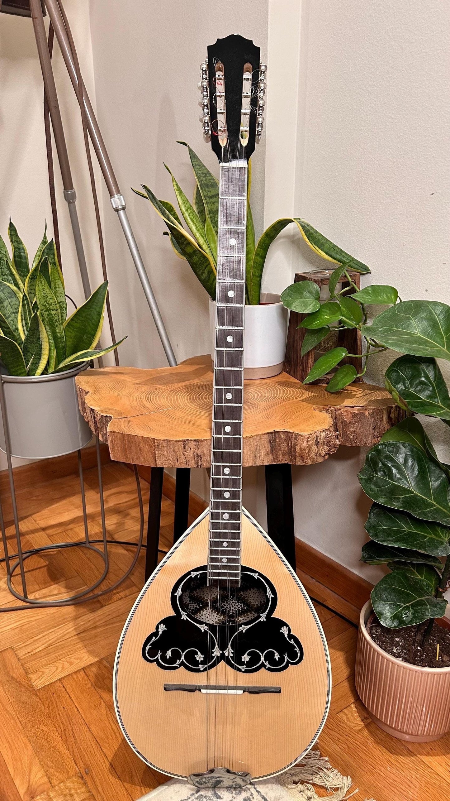 Premium Handmade 8-String Bouzouki with Double Action Truss-Rod and Cellulose Vines Top Decorations - Greek Popular Bouzouki