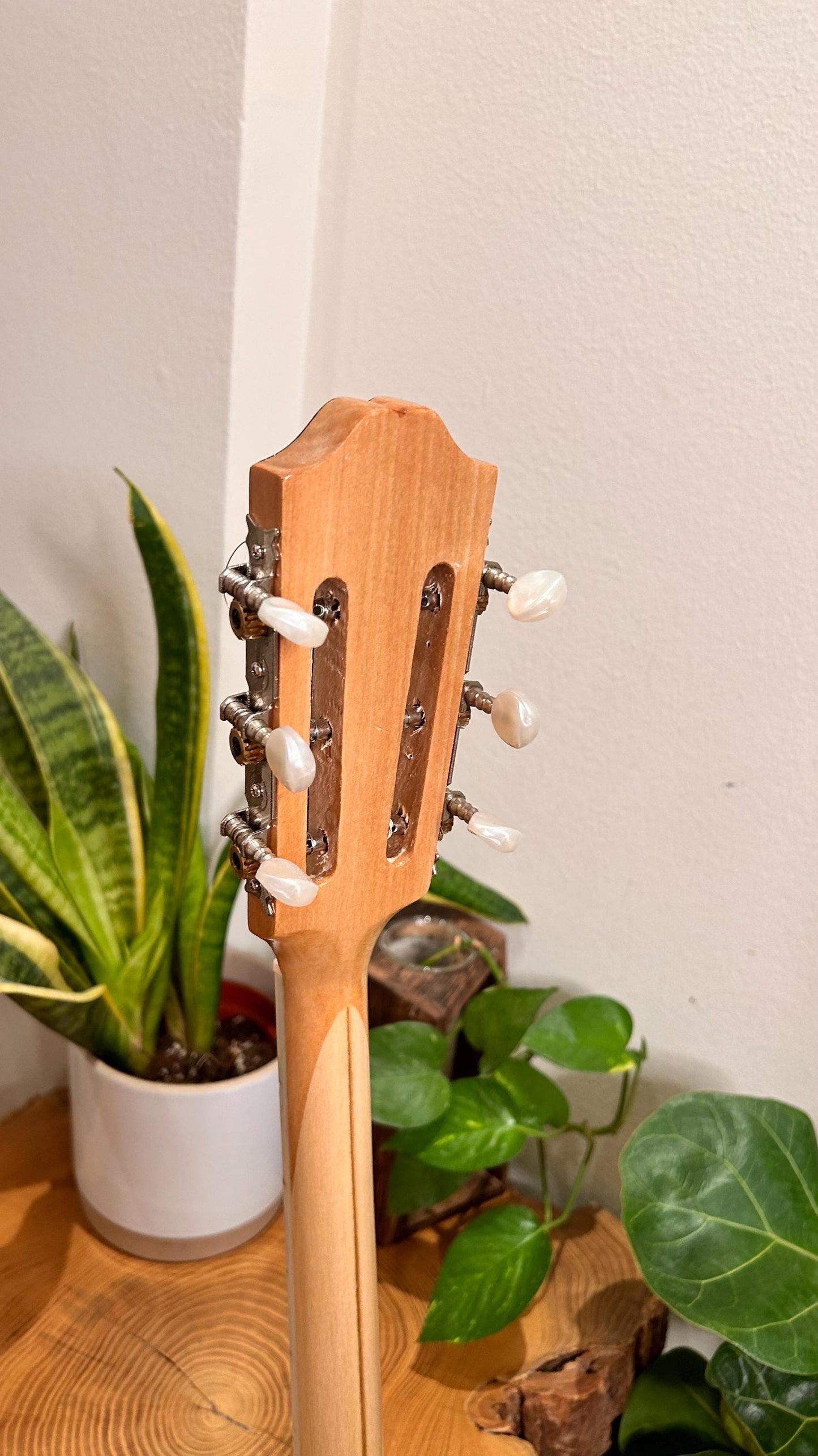 Professional Handmade 6-String Bouzouki with Greek Rebetiko Style - Black Pickguard Design and Abalone Shell Fretmarks