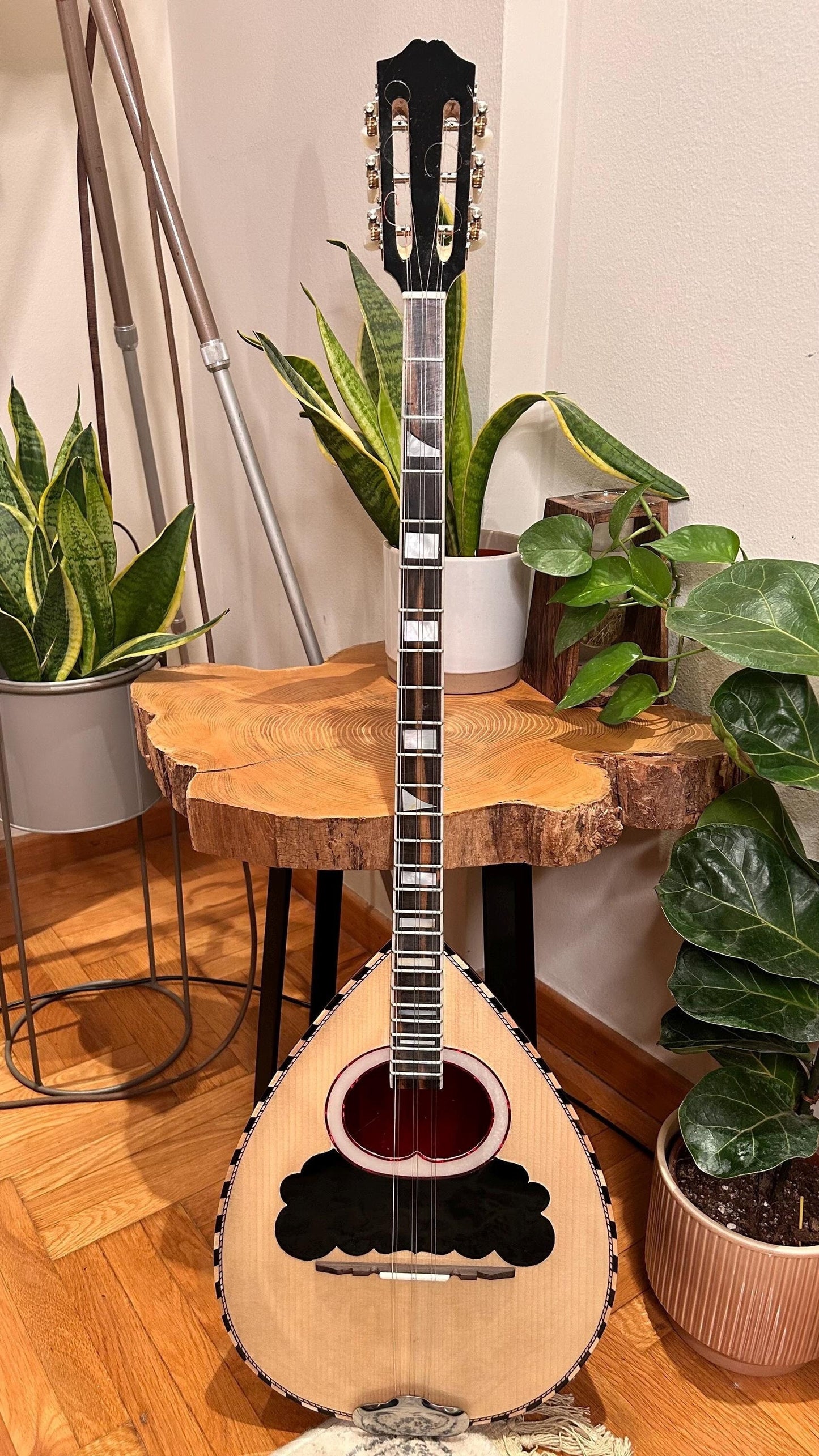 Professional Handmade 6-String Bouzouki with Greek Rebetiko Style - Black Pickguard Design and Abalone Shell Fretmarks
