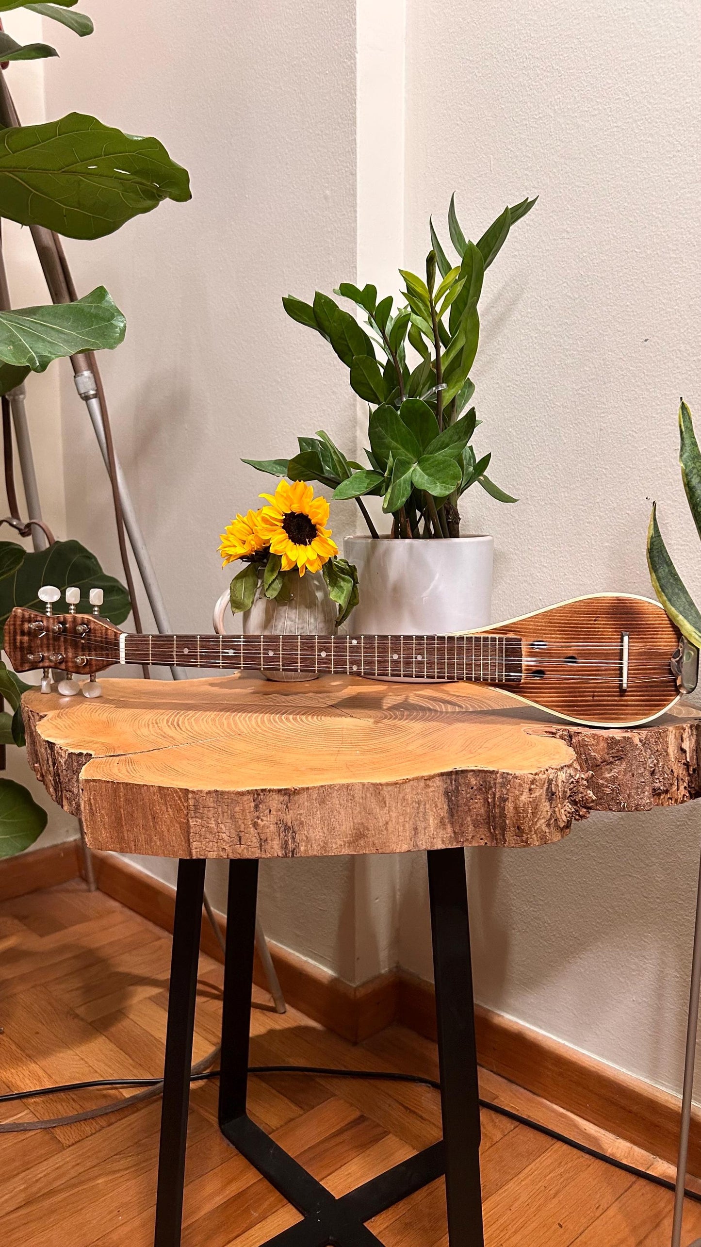 Custom Baglamas - Handmade 6-String one-piece Burned Poplar Baglamas with Black painted Spruce top - Greek Rebetiko Music