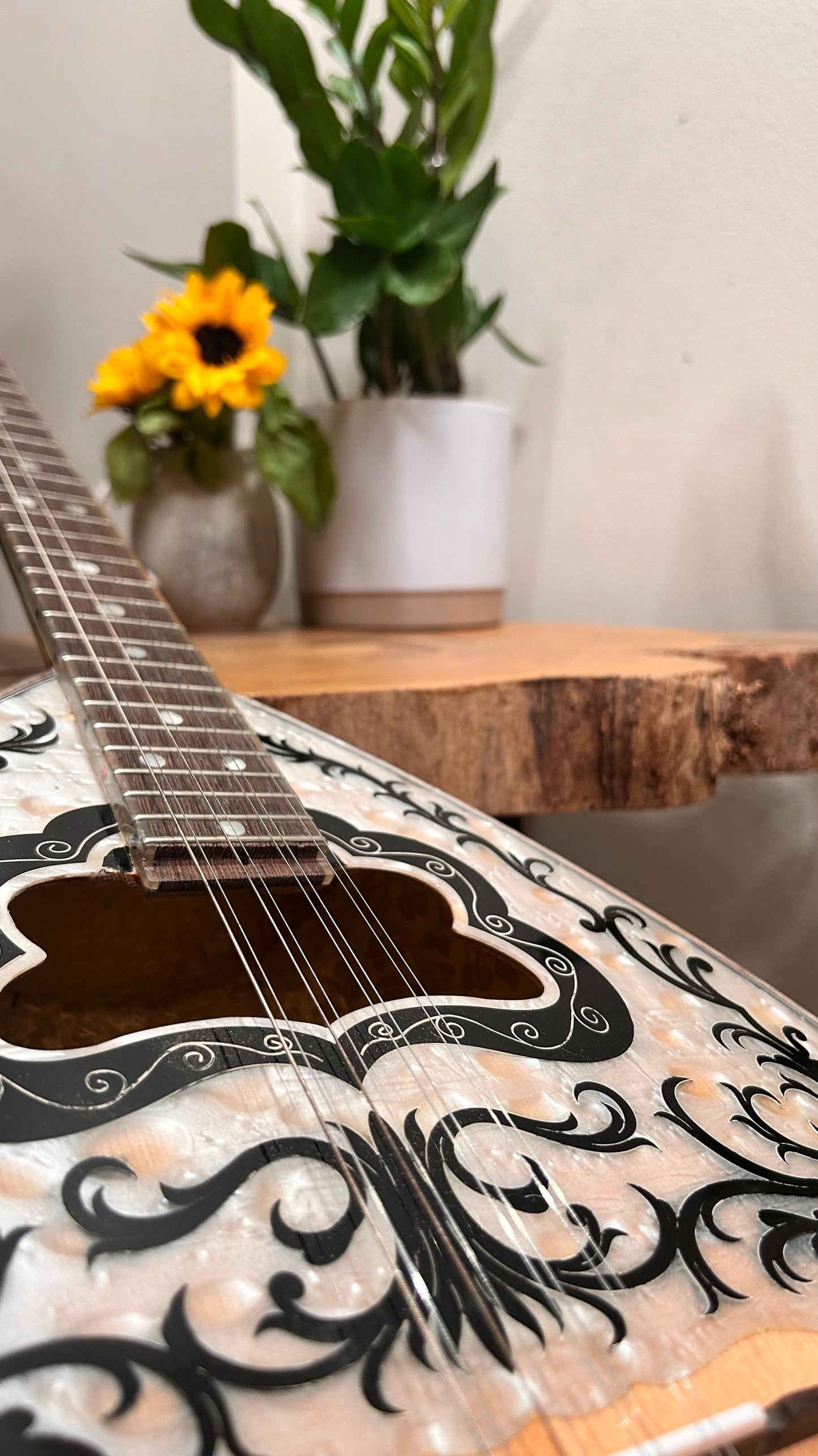 Premium Handmade 8-String Bouzouki with Double Action Truss-Rod | Greek Popular Bouzouki with Cellulose Vines Top Decorations