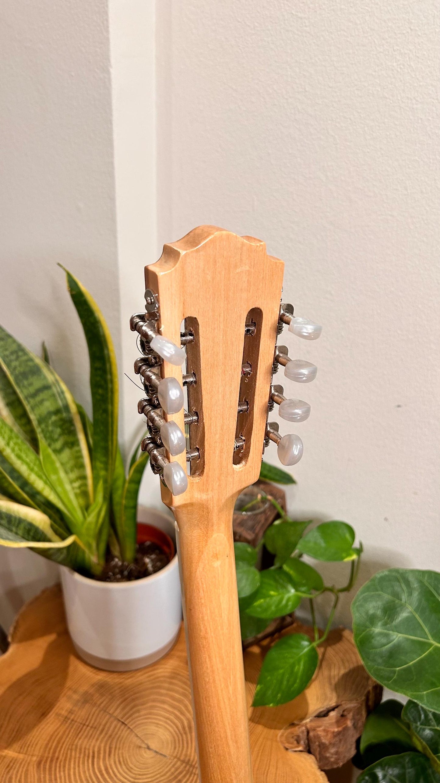 Premium Handmade 8-String Bouzouki with Double Action Truss-Rod and Cellulose Vines Top Decorations - Greek Popular Bouzouki