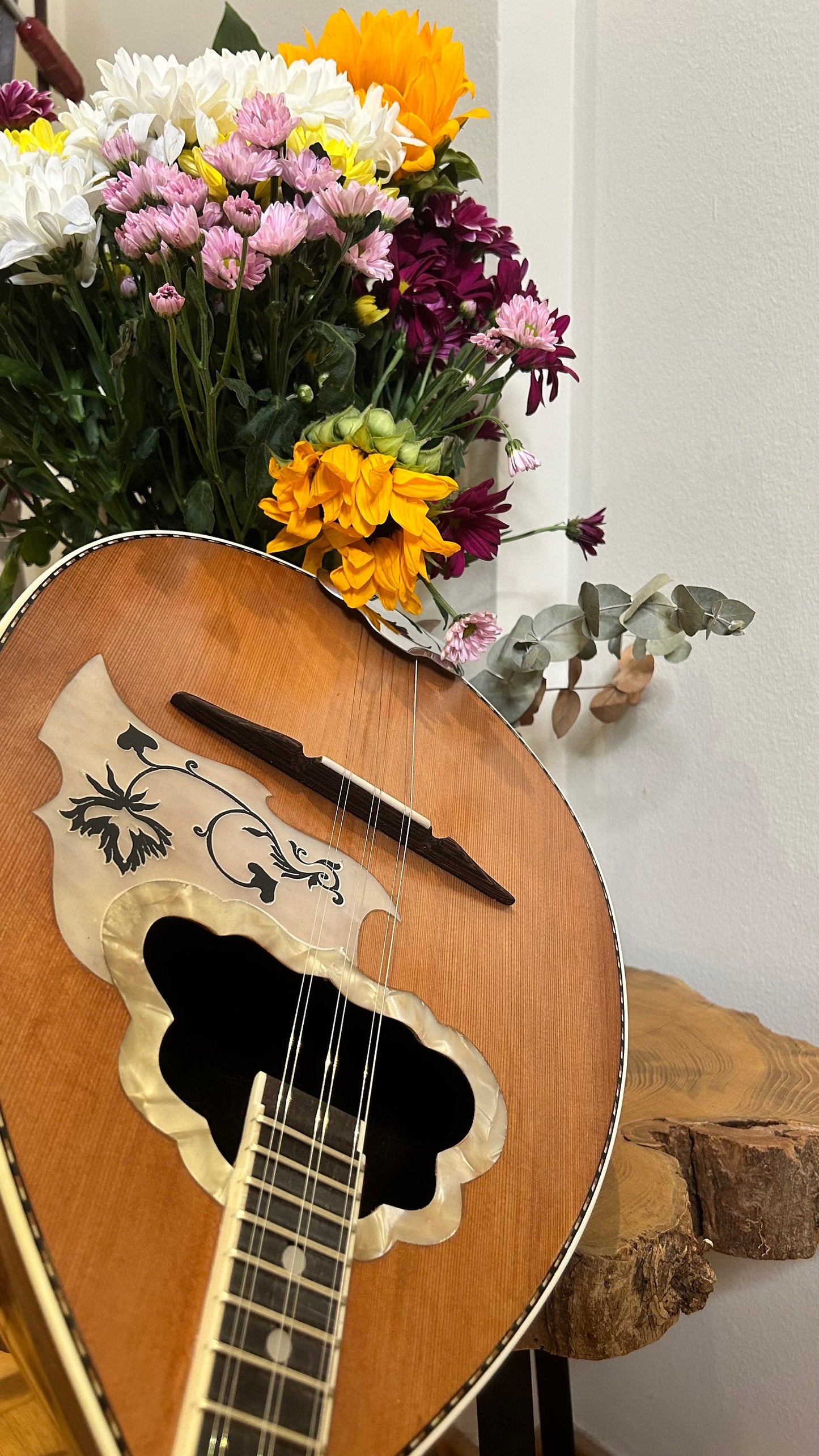 Handmade Greek Rebetiko 6-StringBouzouki - Flowers Celluloid Pickguard & Top Decorations