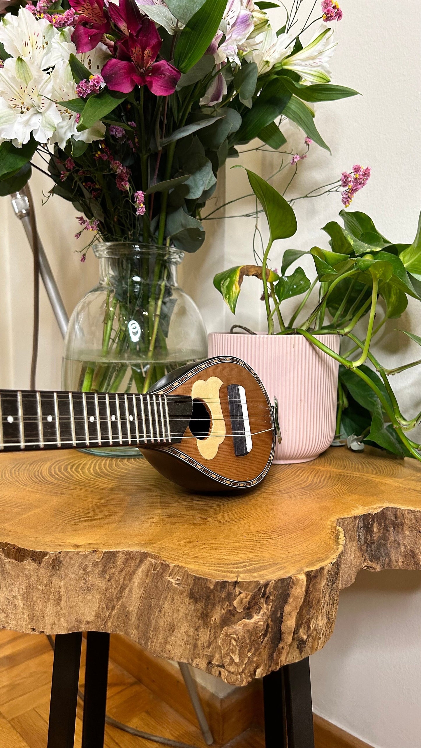 Handmade 6-String Baglamas | Greek Traditional Music Instrument for Rebetiko Music