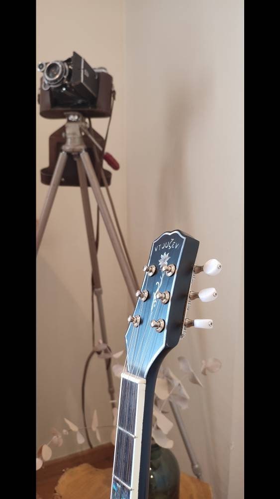 Custom 6-String Handmade Greek Bouzouki with Traditional Rebetiko Design and Abalone Shell Flower Top Decorations