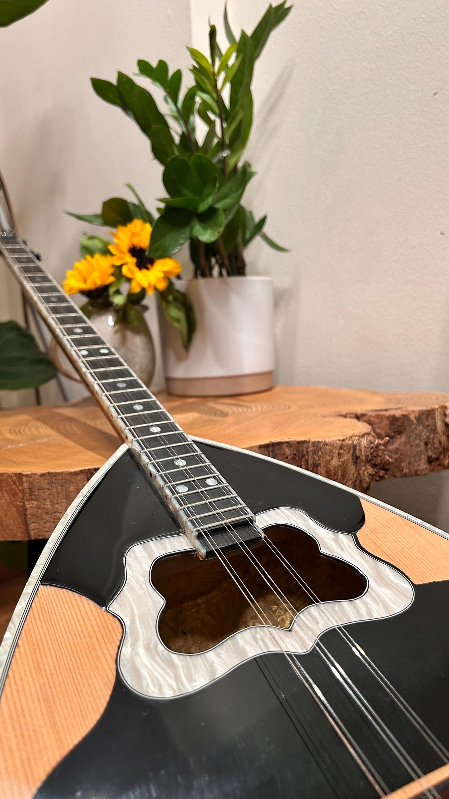 Professional Handmade 6-String Bouzouki with Greek Rebetiko Style - Black Pickguard Design and Abalone Shell Fretmarks