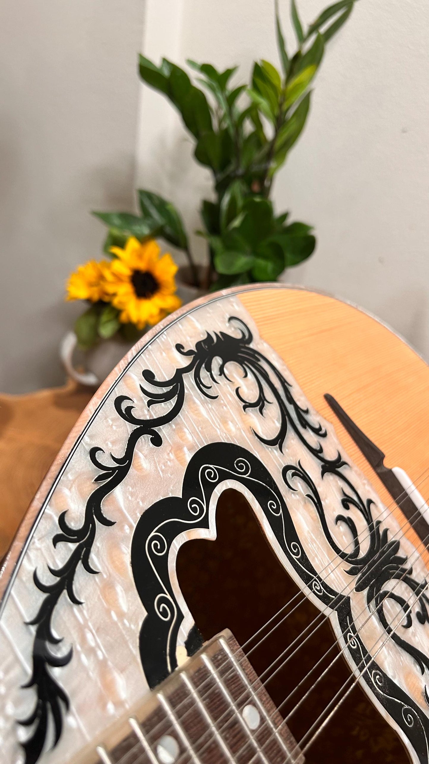 Premium Handmade 8-String Bouzouki with Double Action Truss-Rod | Greek Popular Bouzouki with Cellulose Vines Top Decorations