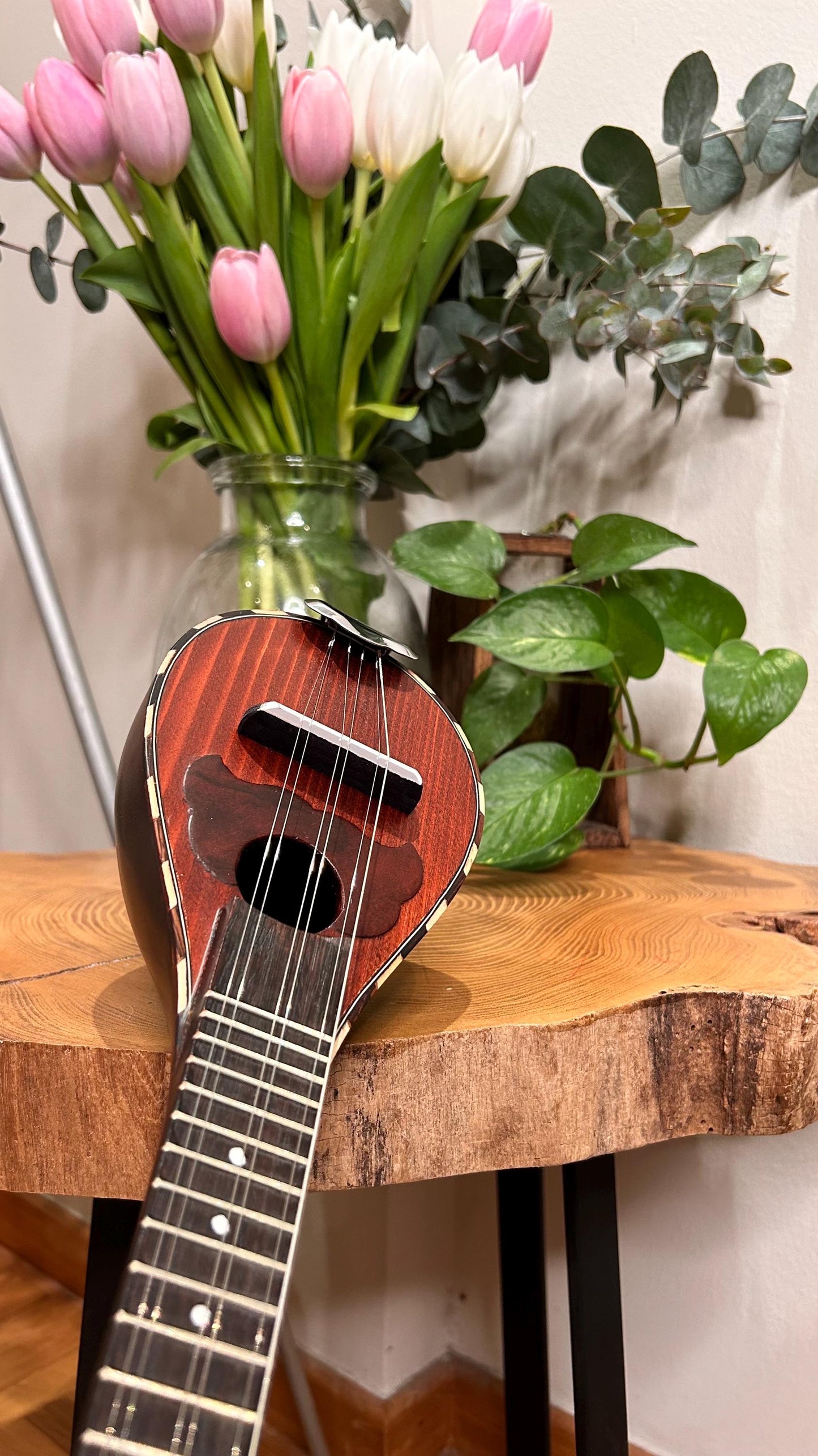 Handmade 6-String Baglamas | Greek Traditional Music Instrument for Rebetiko Music