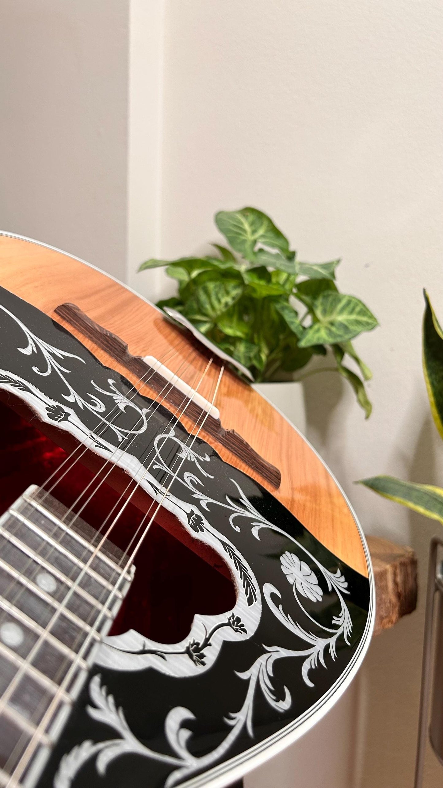 Handmade 8-string Professional Bouzouki with double-action truss rod and exquisite Cellulose Vines&Flower decorations - Greek craftsmanship