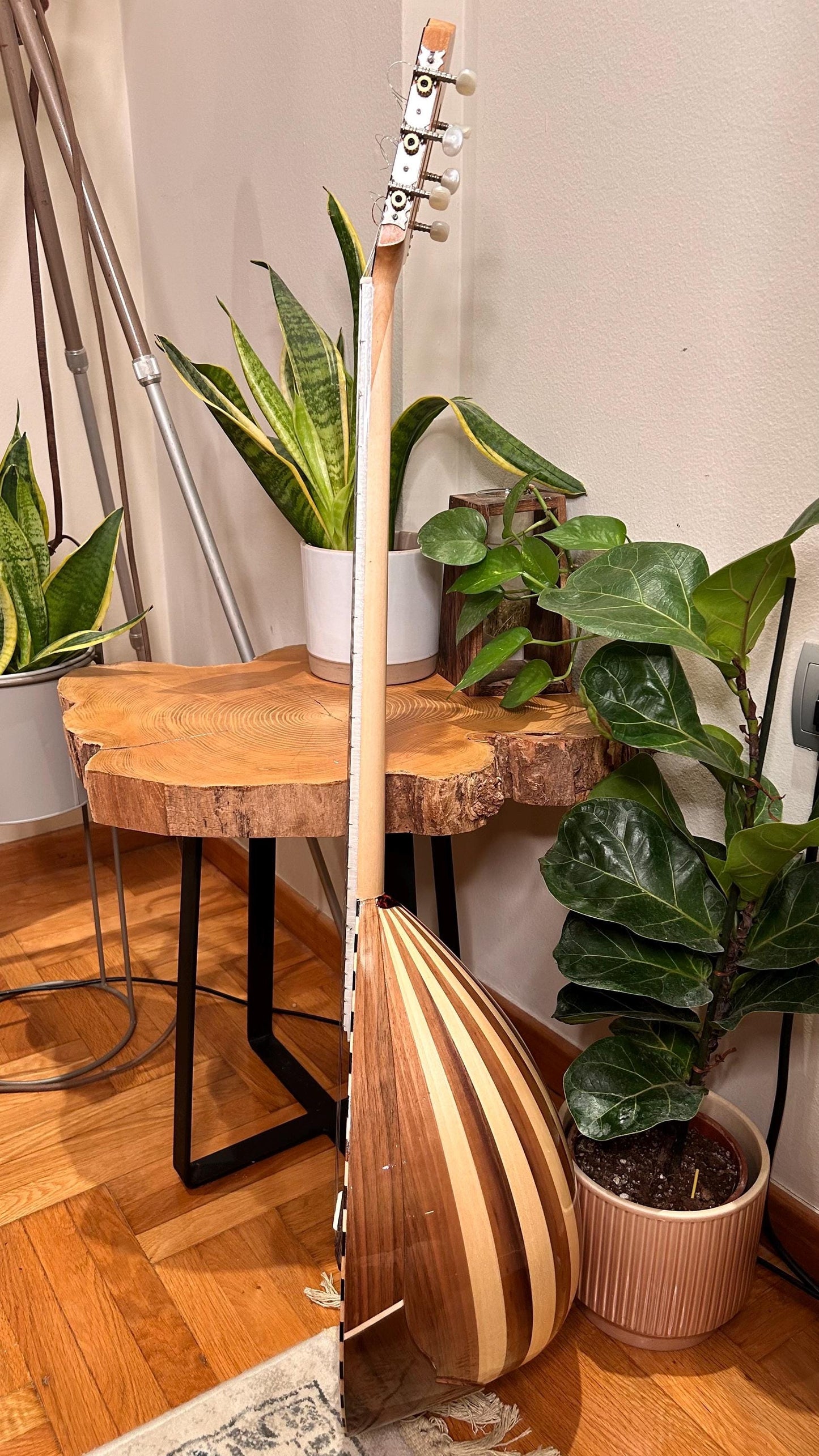 Professional Handmade 6-String Bouzouki with Greek Rebetiko Style - Black Pickguard Design and Abalone Shell Fretmarks