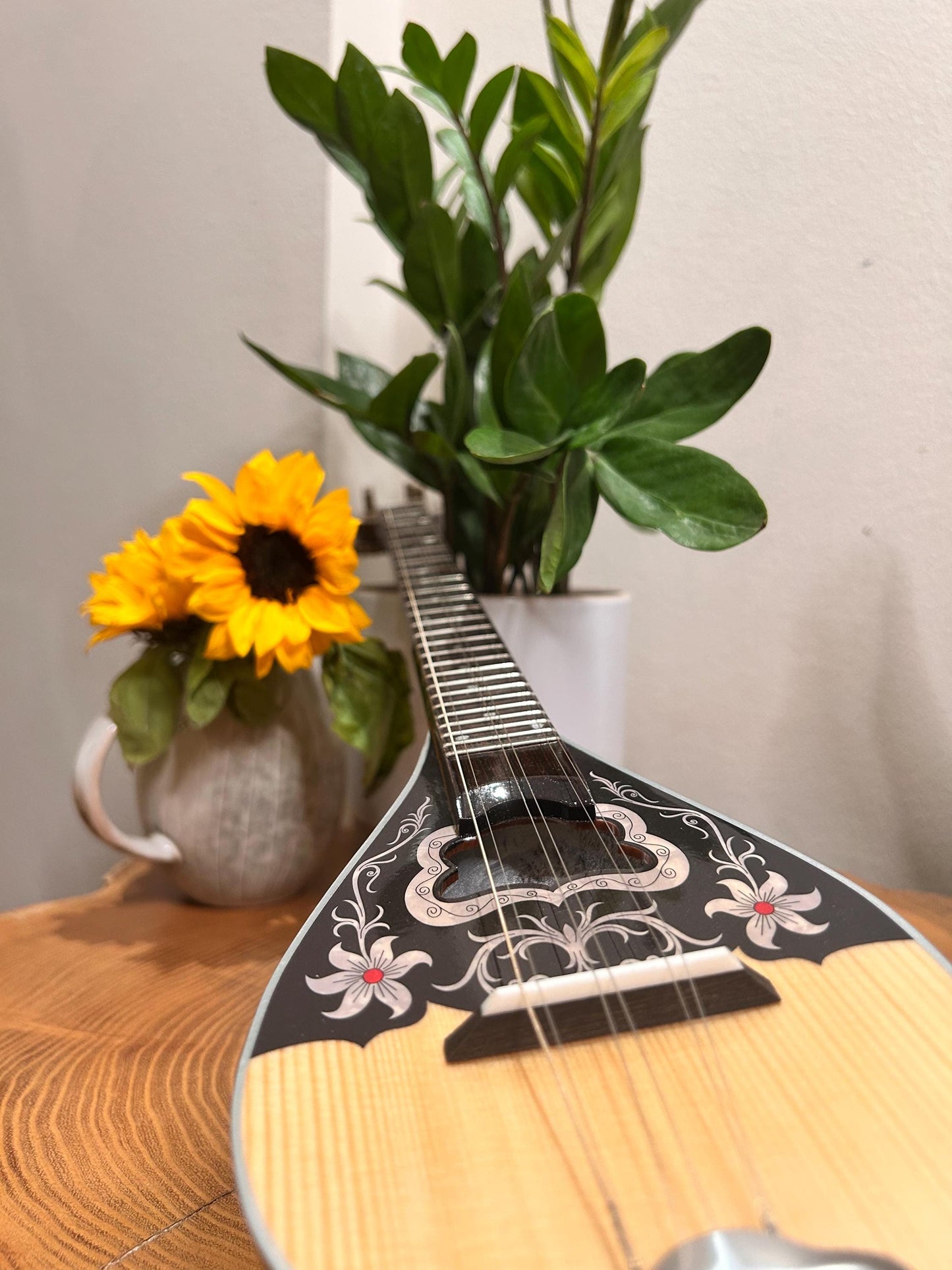 Premium Handmade 6-String Baglamas | Greek Traditional Music Instrument for Rebetiko Music