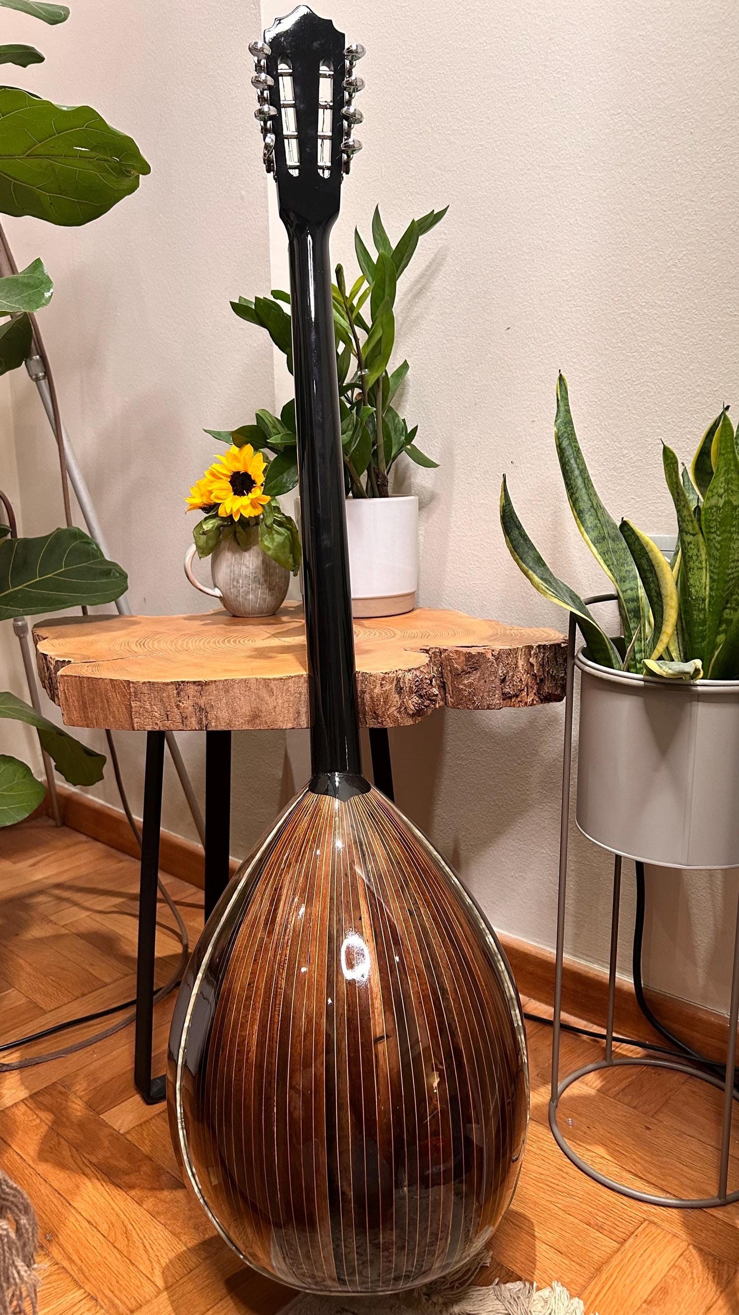 Premium Handmade 8-String Bouzouki with Double Action Truss-Rod | Greek Popular Bouzouki with Cellulose Vines Top Decorations