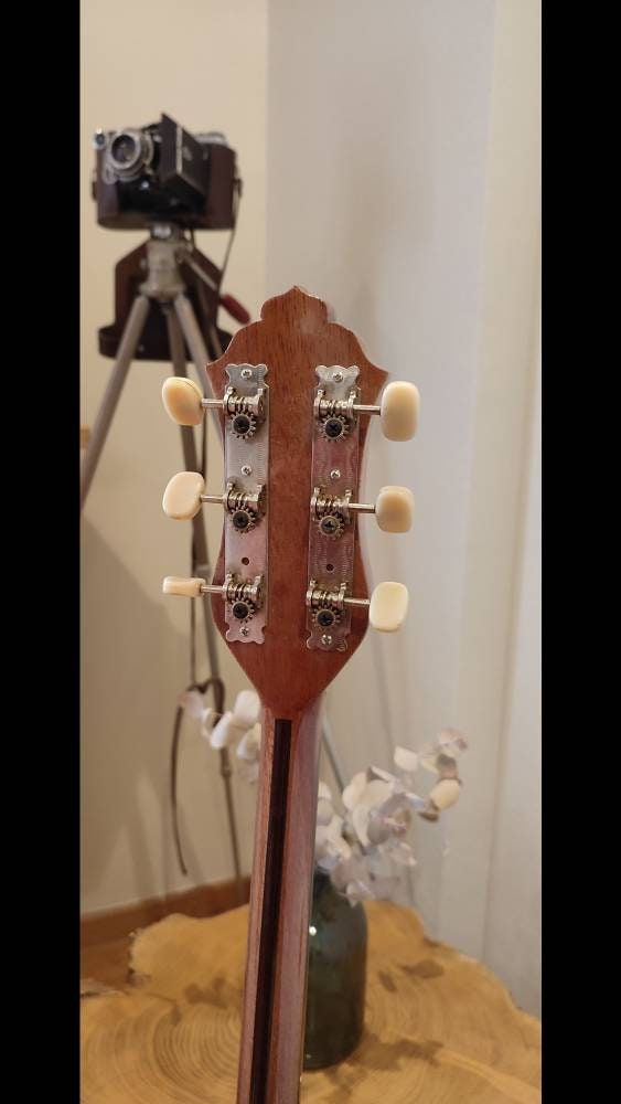 Custom Professional 6-String Handmade  Bouzouki with Wooden Pickguard - Greek Rebetiko 6-String Instrument with Traditional Design