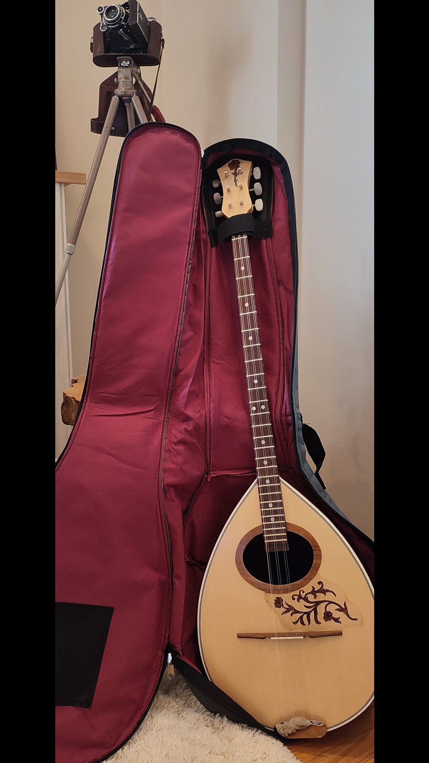Durable Bouzouki Bag - Excellent Protection with Double Straps and Lightweight Design - Blue