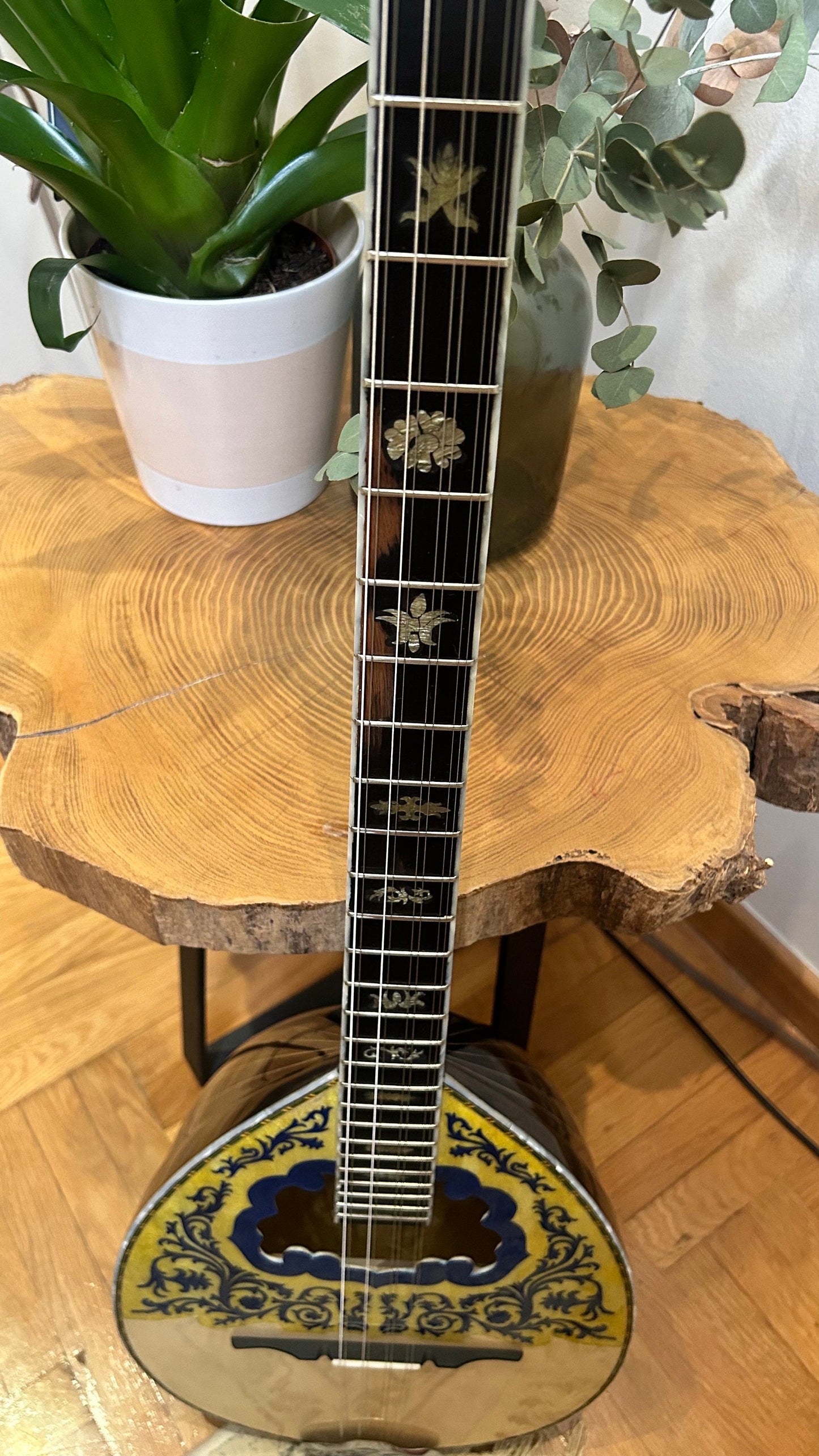 Professional Handmade 8-String Bouzouki with Greek Traditional Double-Action Truss Rod, Cellulose Vines & Flowers Top Decorations