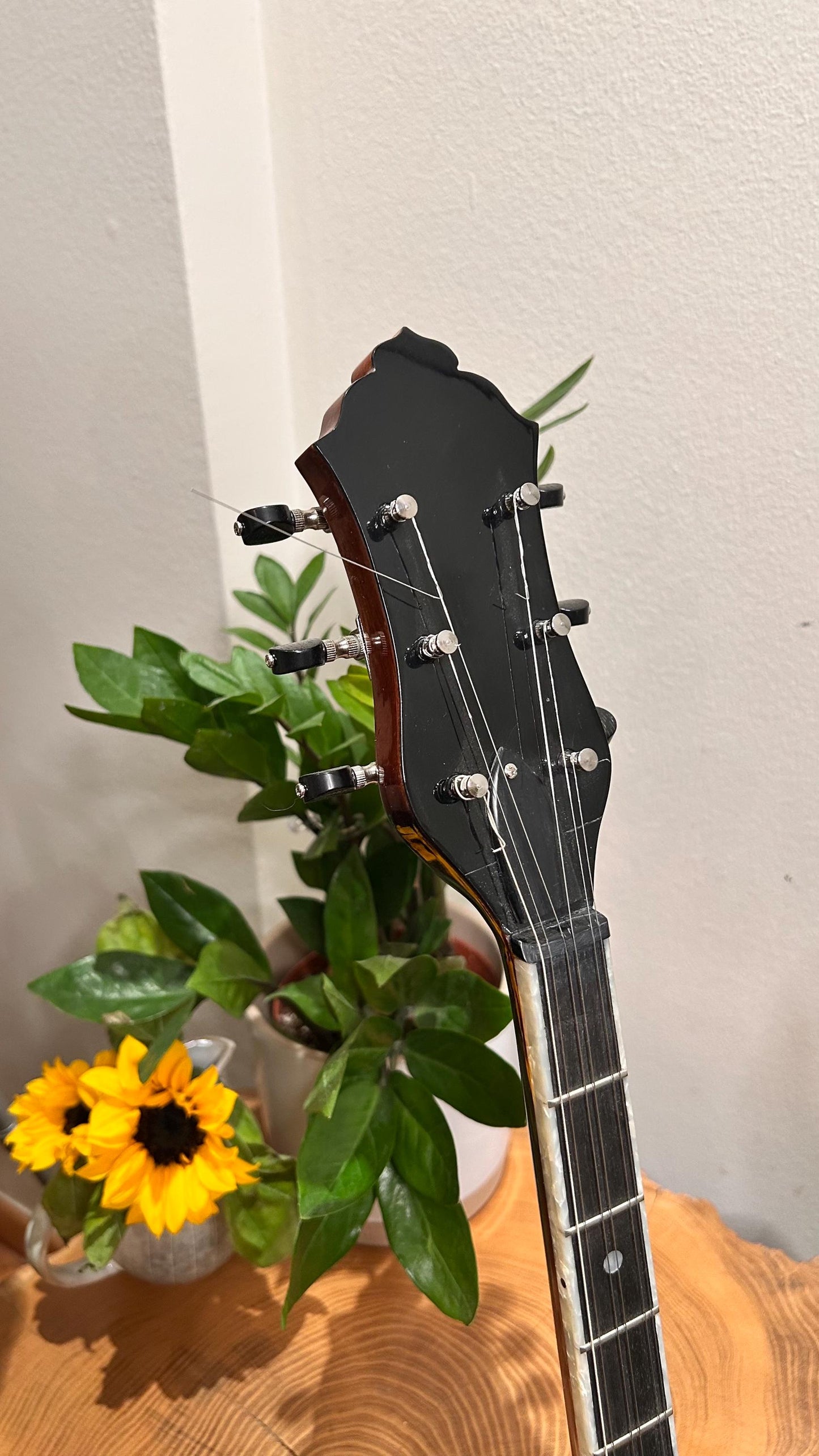 Professional Handmade 6-String Bouzouki with Greek Rebetiko Style - Black Pickguard Design and Abalone Shell Fretmarks