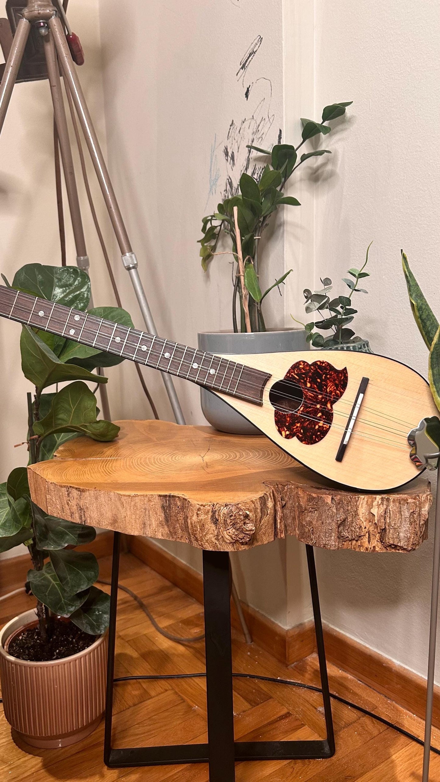 Tzouras ~ Greek traditional Music Instrument [ Handmade Tzouras ] ~ 6string Tzouras ~ Rebetiko music instrument ~