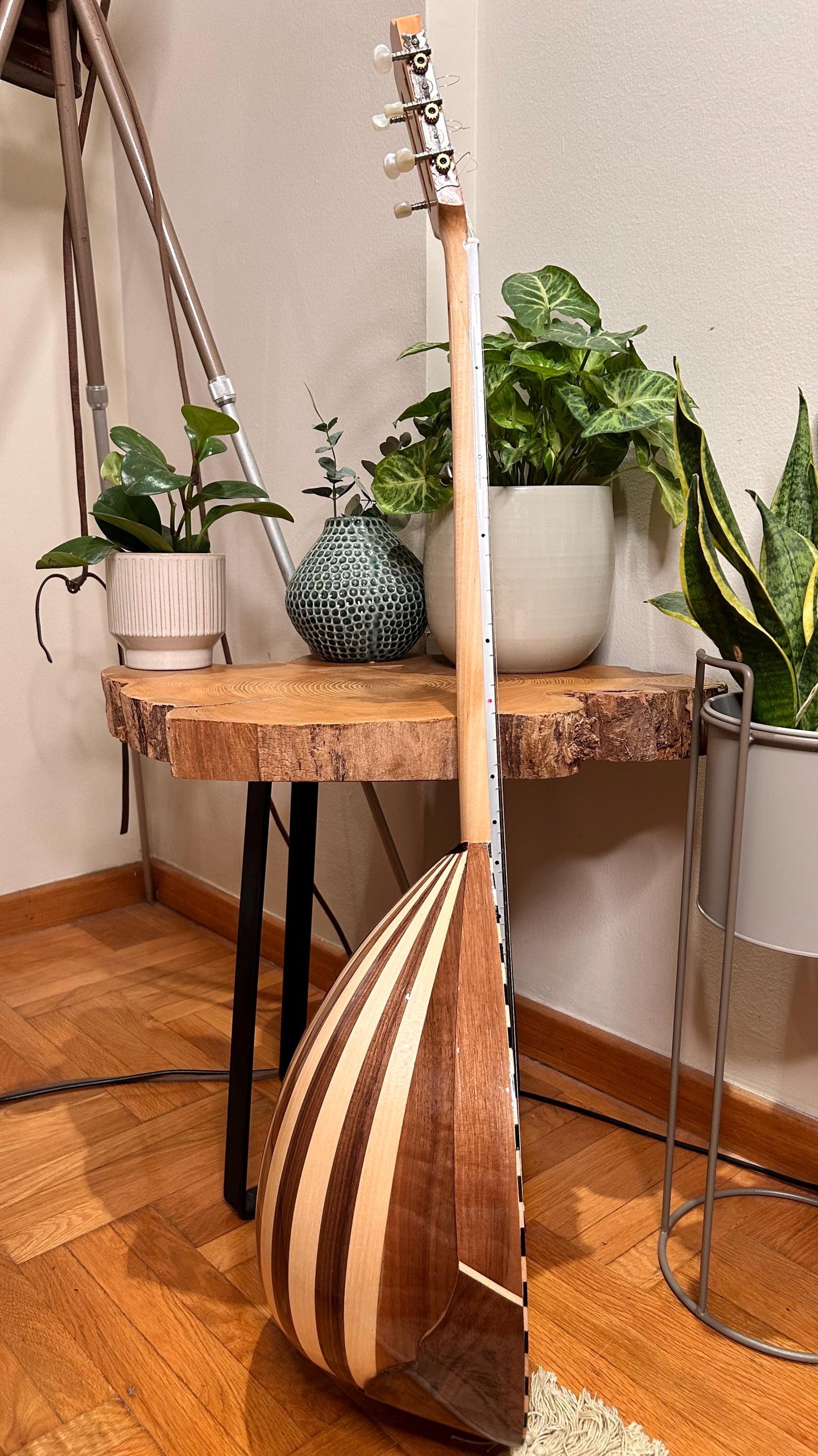 Professional Handmade 6-String Bouzouki with Greek Rebetiko Style - Black Pickguard Design and Abalone Shell Fretmarks
