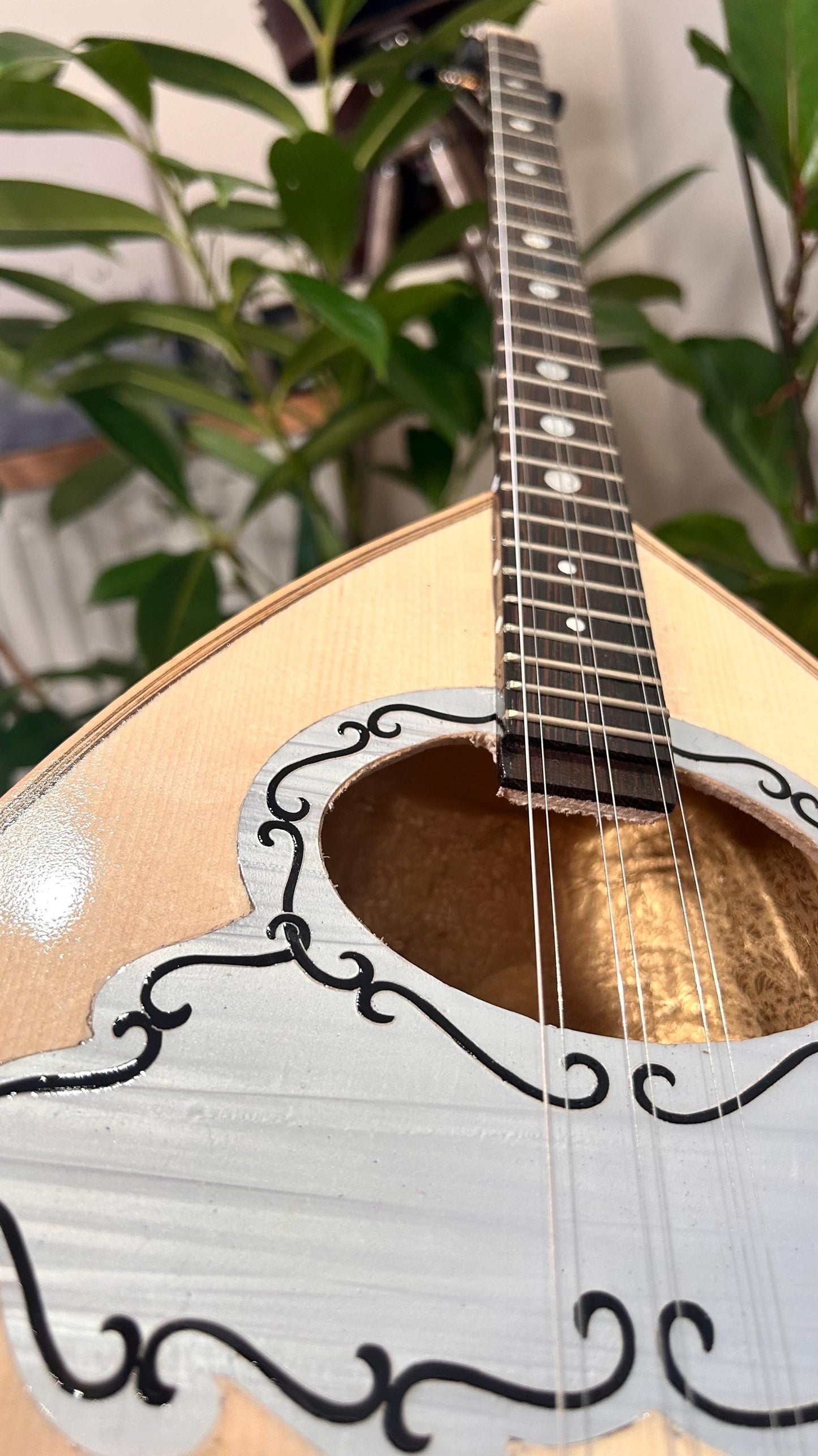 Handmade Greek Rebetiko 6-StringBouzouki - Flowers Celluloid Pickguard & Top Decorations