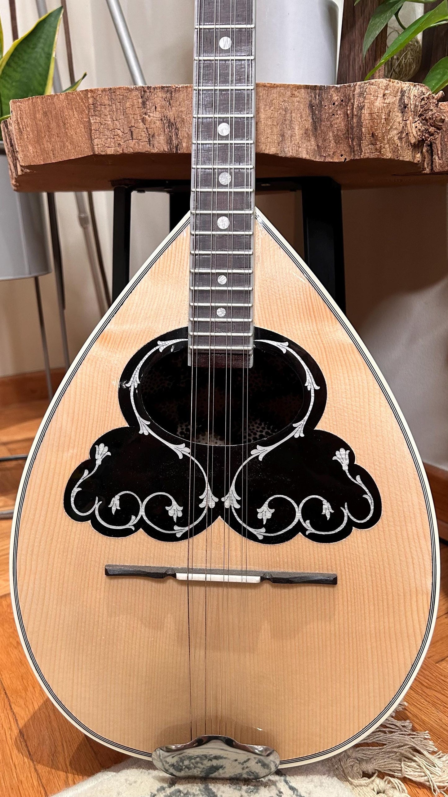 Premium Handmade 8-String Bouzouki with Double Action Truss-Rod and Cellulose Vines Top Decorations - Greek Popular Bouzouki