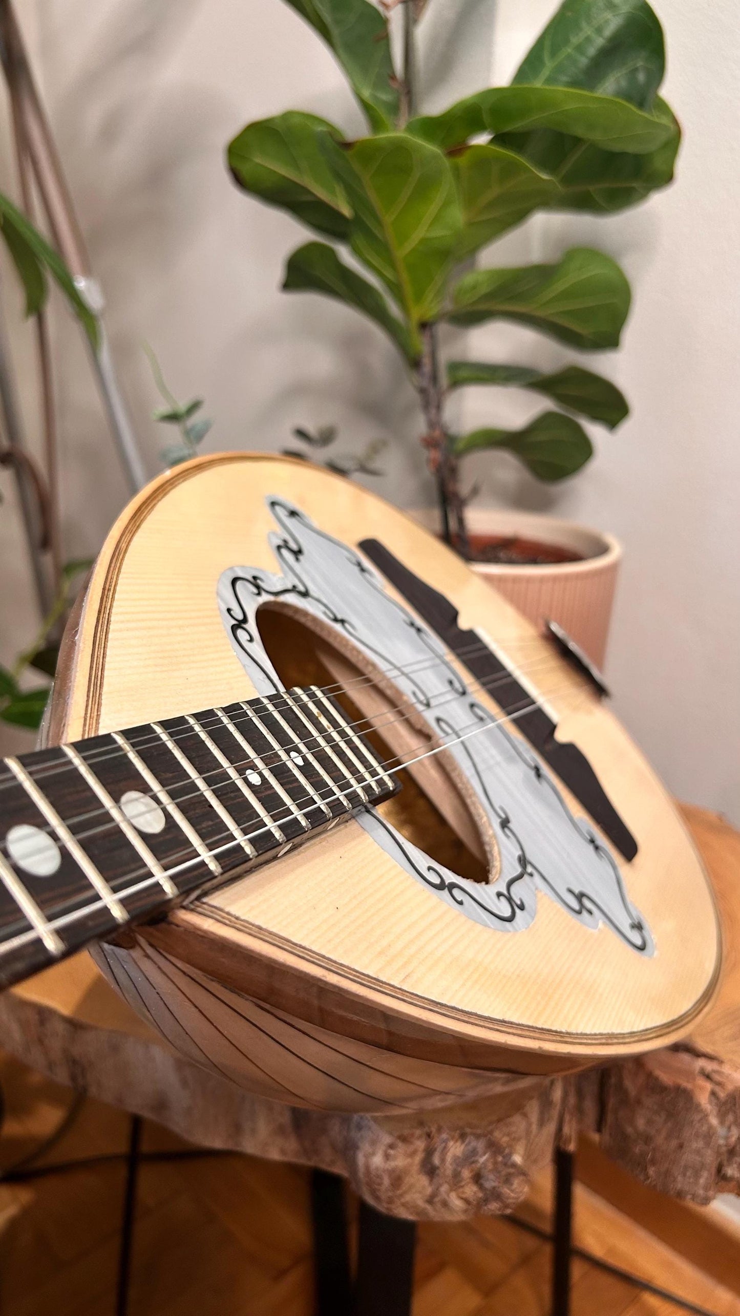 Handmade Greek Rebetiko 6-StringBouzouki - Flowers Celluloid Pickguard & Top Decorations