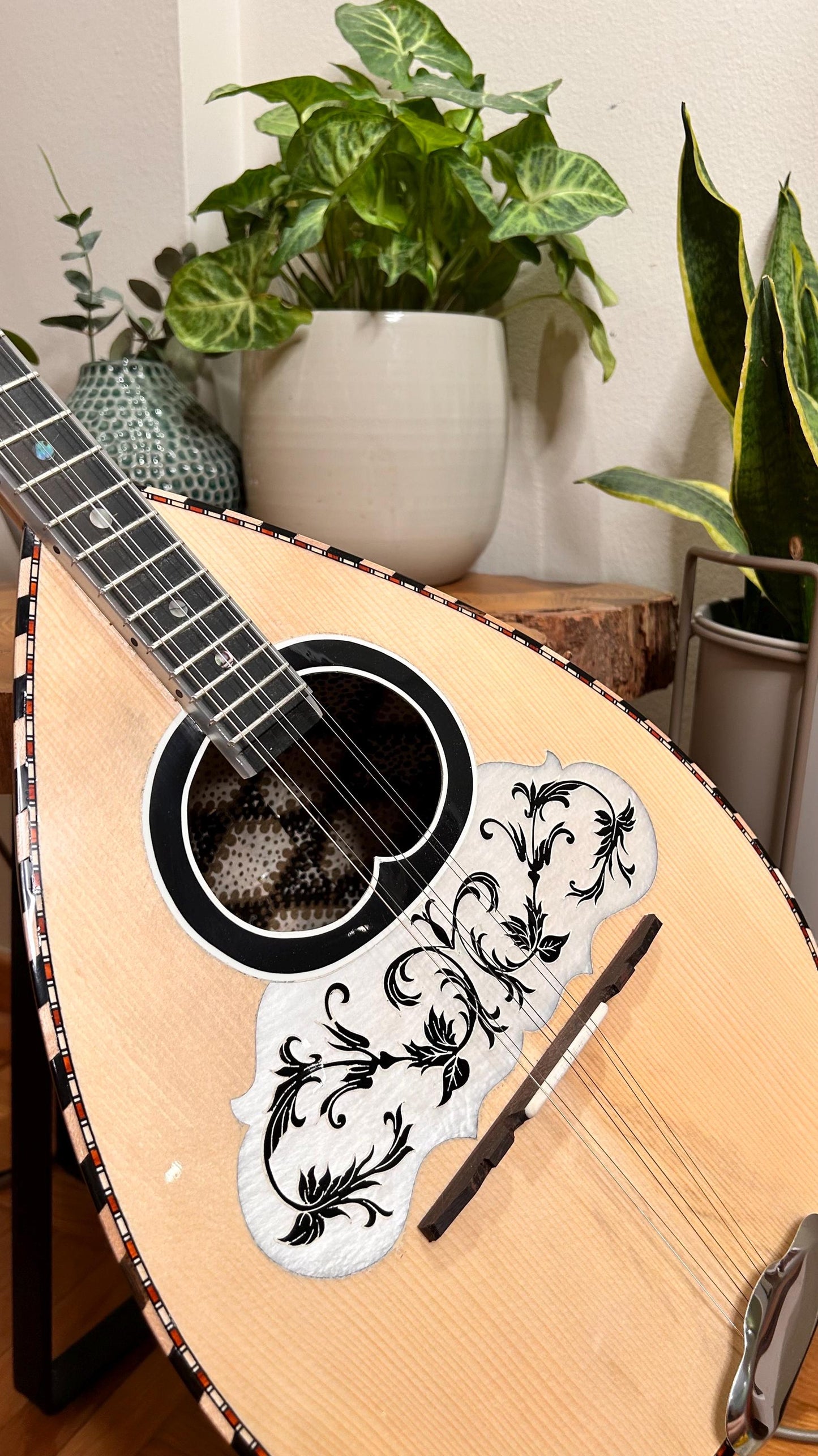 Professional Handmade 6-String Bouzouki with Greek Rebetiko Style - Black Pickguard Design and Abalone Shell Fretmarks