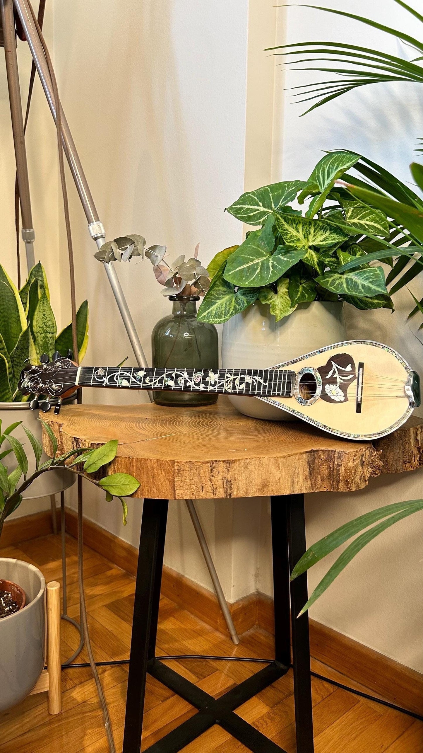 Professional Baglamas ~ [Handmade Custom Professional Baglamas] Greek traditional Music Instrument ~ 6string Baglamas ~ Rebetiko music ~