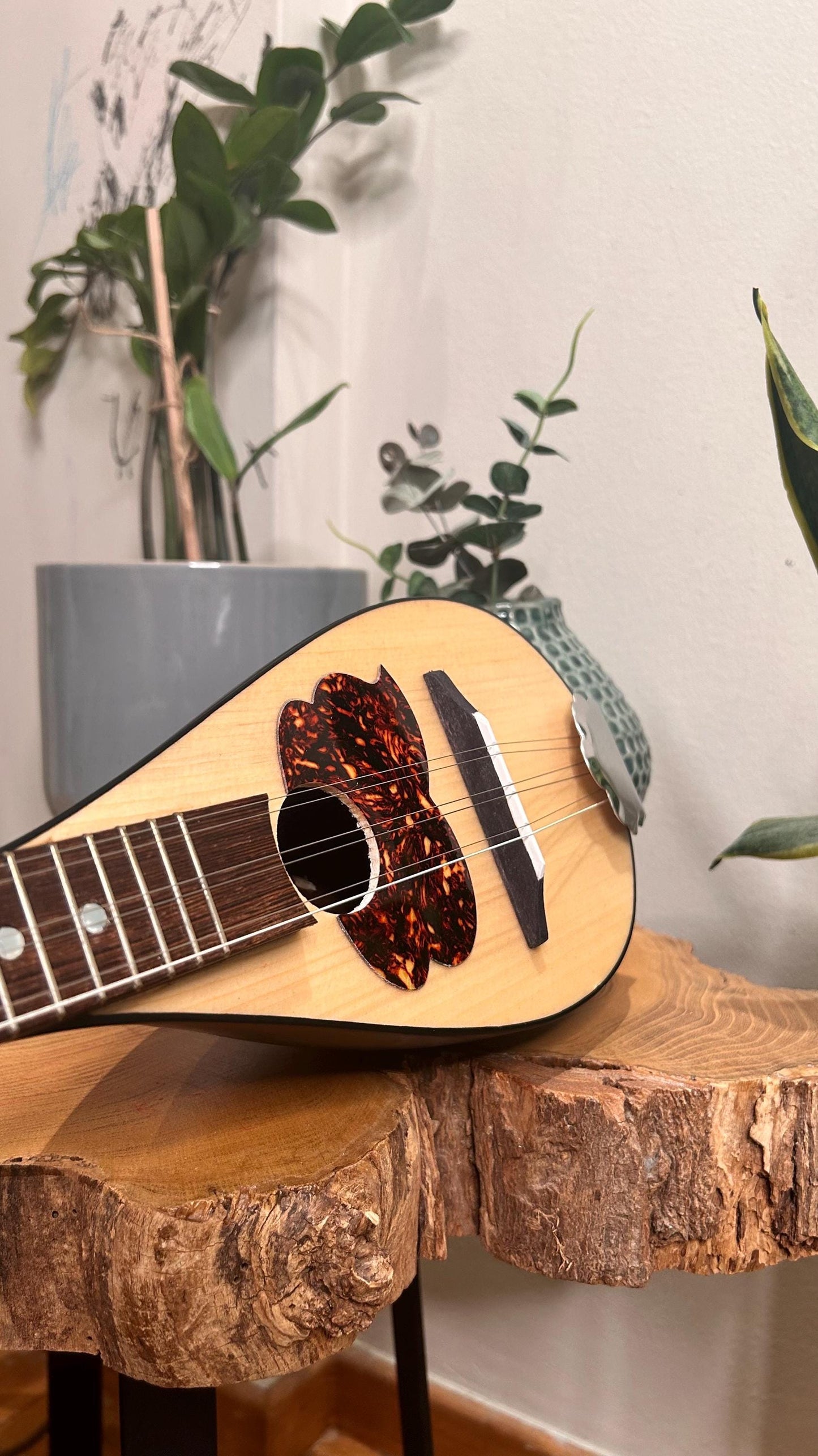 Tzouras ~ Greek traditional Music Instrument [ Handmade Tzouras ] ~ 6string Tzouras ~ Rebetiko music instrument ~
