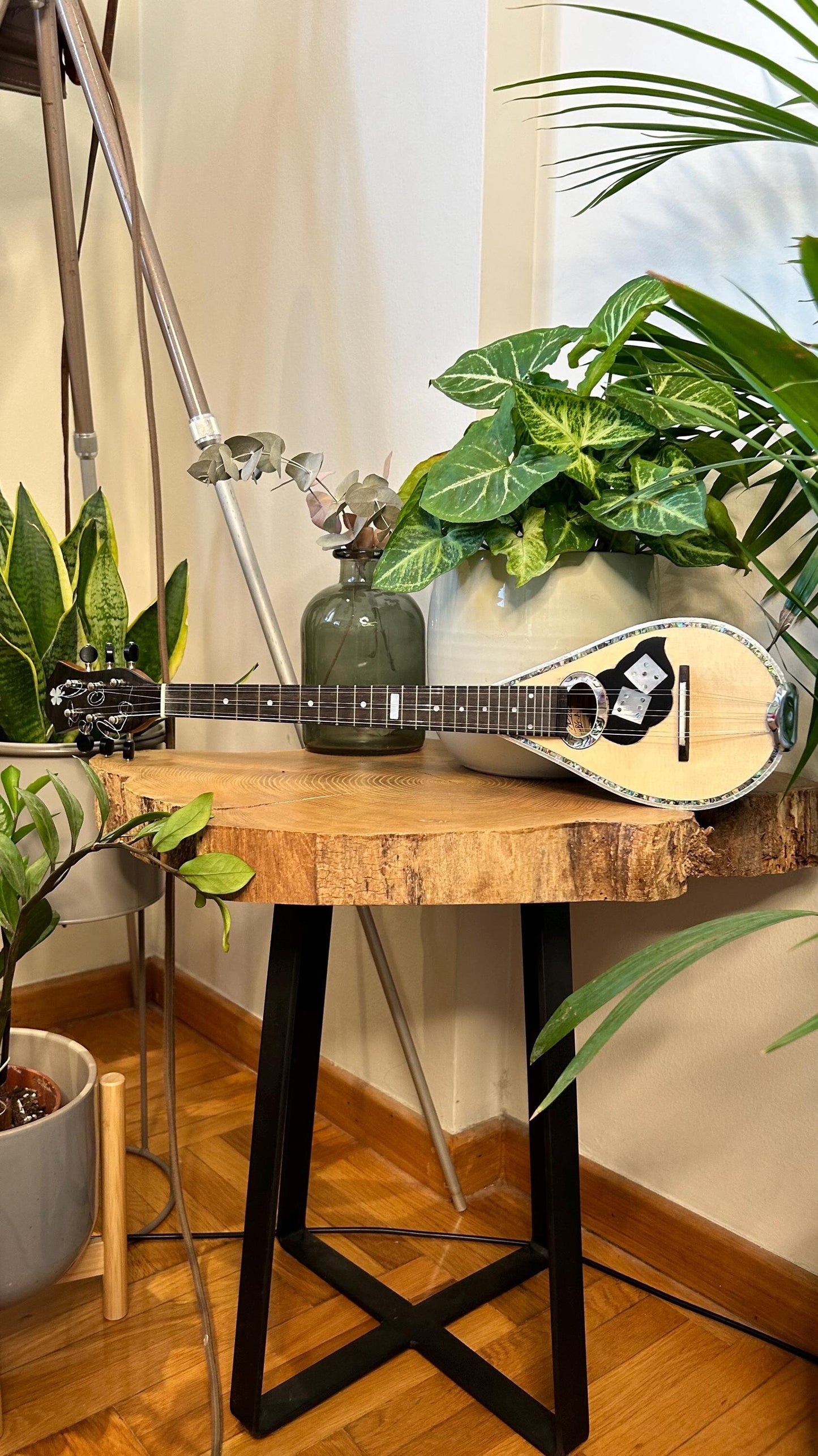 Professional Baglamas ~ [Handmade Custom Professional Baglamas] Greek traditional Music Instrument ~ 6string Baglamas ~ Rebetiko music ~