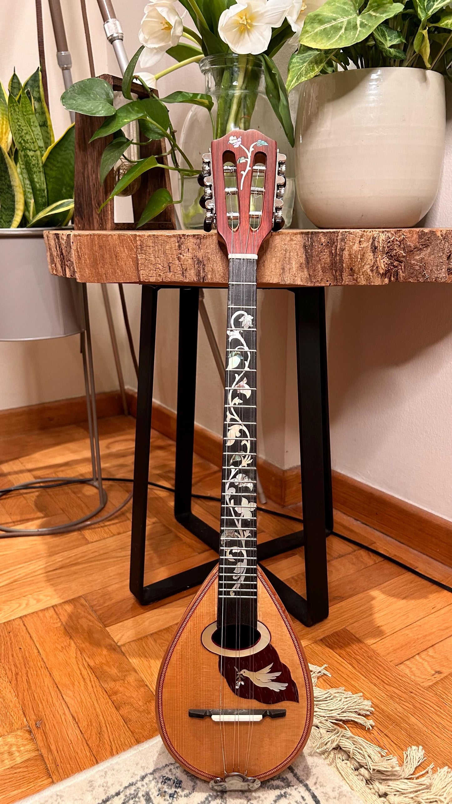 Professional Baglamas ~ [Handmade Custom Professional Baglamas] Greek traditional Music Instrument ~ 6string Baglamas ~ Rebetiko music ~