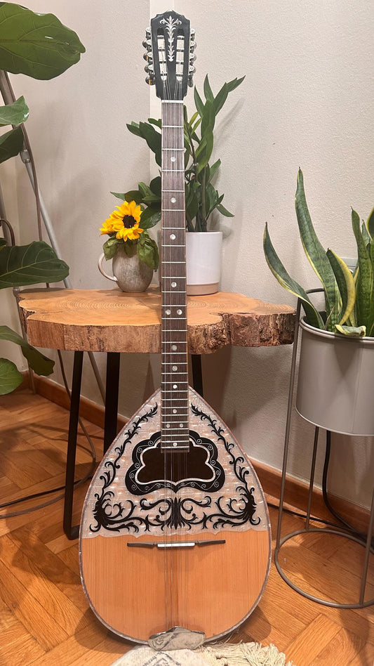 Premium Handmade 8-String Bouzouki with Double Action Truss-Rod | Greek Popular Bouzouki with Cellulose Vines Top Decorations
