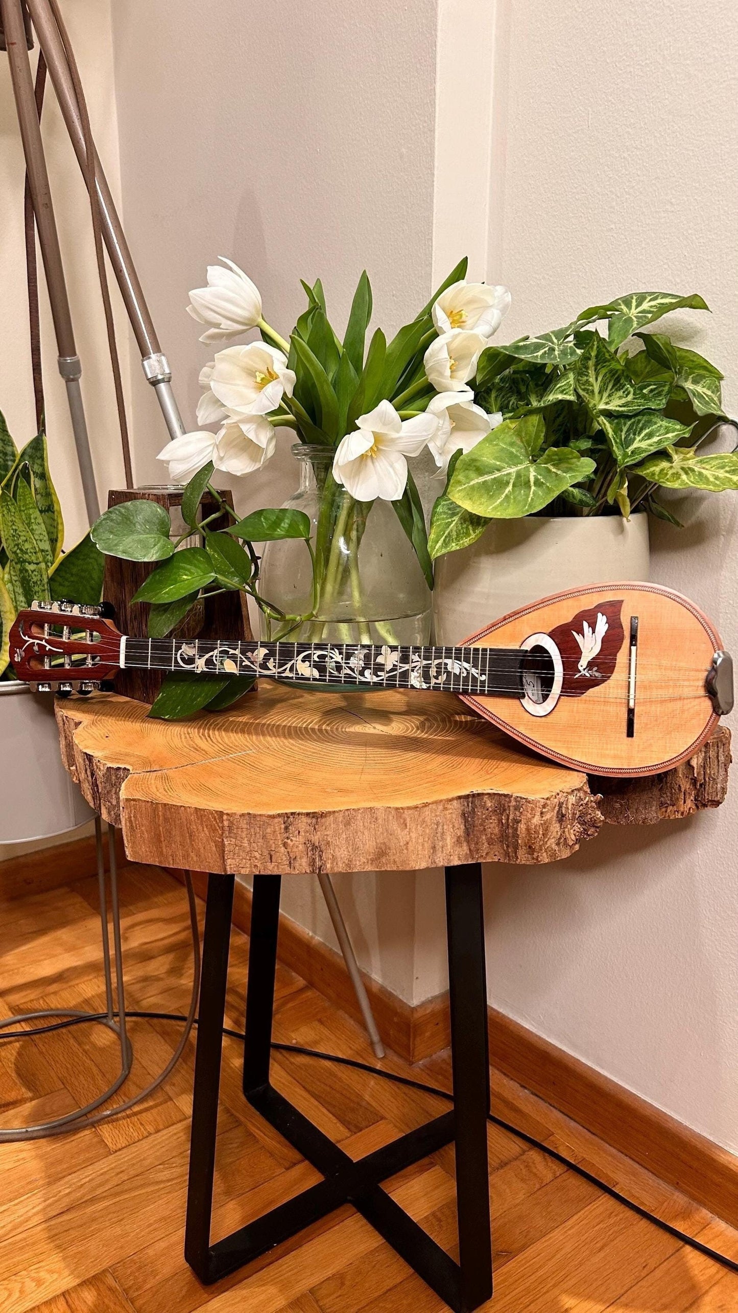 Professional Baglamas ~ [Handmade Custom Professional Baglamas] Greek traditional Music Instrument ~ 6string Baglamas ~ Rebetiko music ~